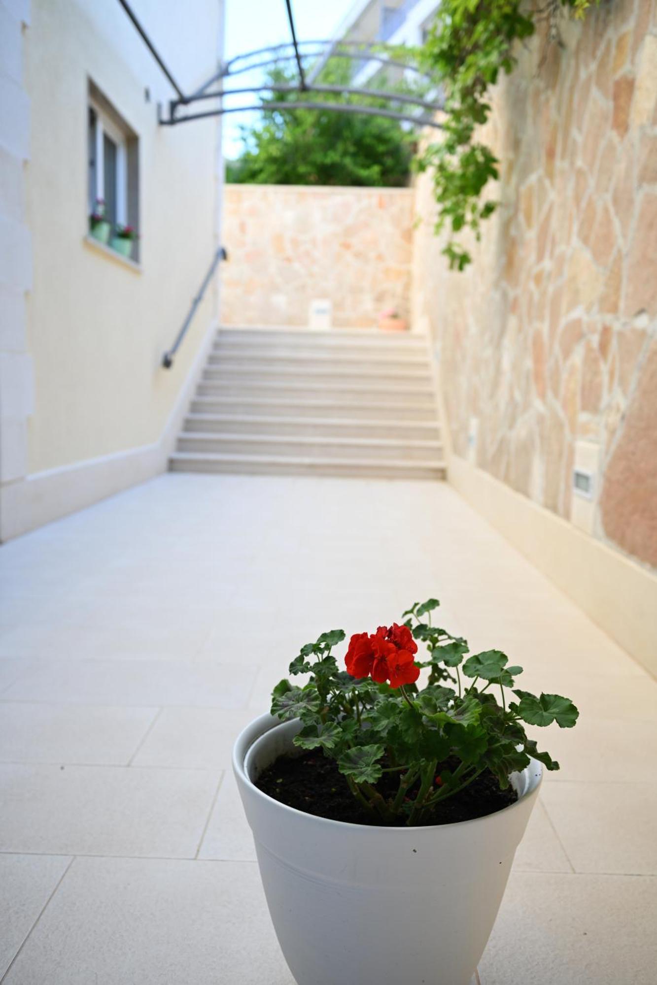 Hvar Villa Malisko Apartments Хвар Екстер'єр фото